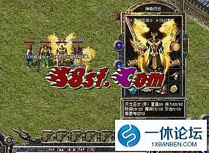 神龙论坛