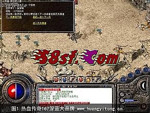 传奇私服双挂