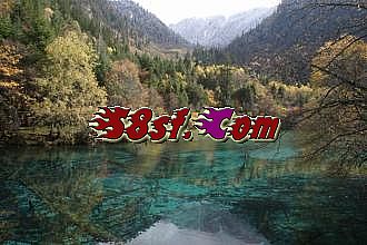 dj战歌网